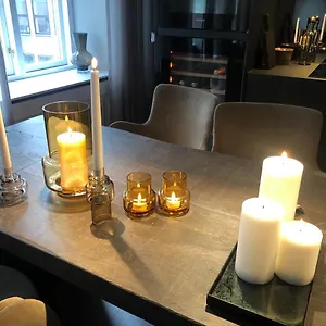 luxury-new-apartment-heart-of-copenhagen.copenhagenhotelselect.com/